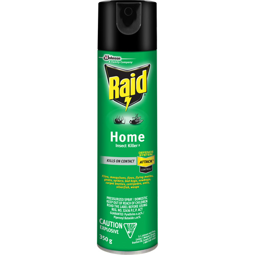 Insecticide pour insectes domestiques Raid, 350 g, &agrave; base de solvant NTL Industrial