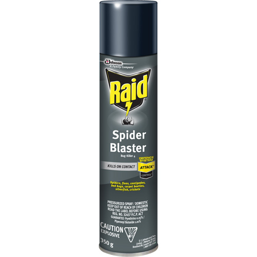 Insecticide exterminateur daraign&eacute;es Raid, 350 g, Canette a&eacute;rosol, &agrave; base de solvant NTL Industrial