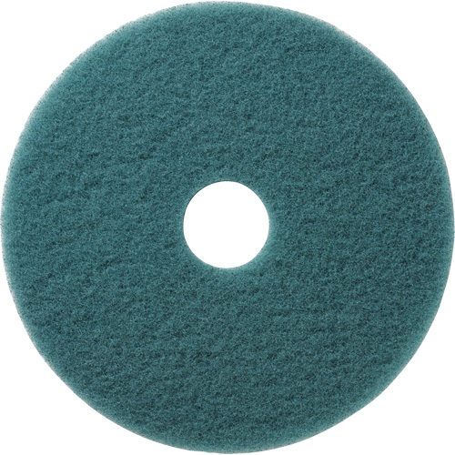 Tampons &agrave; polir pour planchers Aqua, 19", Brunissage, Aqua NTL Industrial