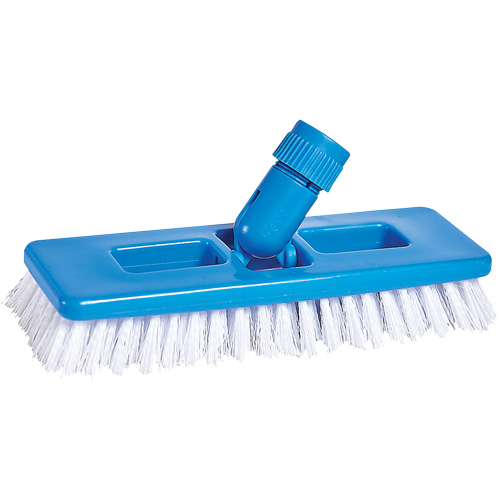Brosse universelle &agrave; r&eacute;curer et pour coulis, 9" l, Soies Polypropyl&egrave;ne, Blanc NTL Industrial