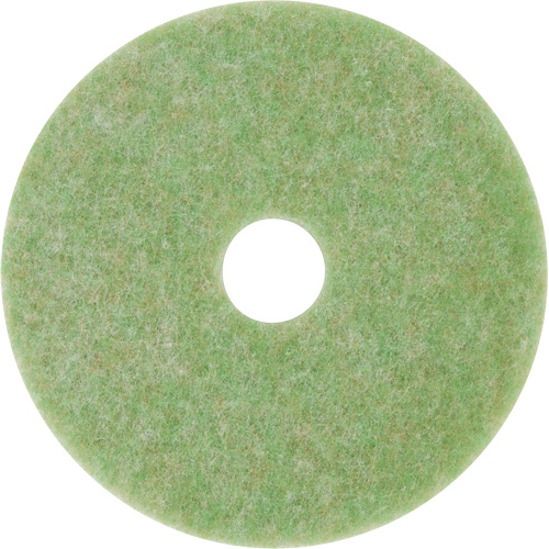 Tampon de m&eacute;lange naturel, 12", &agrave; r&eacute;curer, Vert NTL Industrial