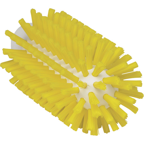 Brosse de 2,5", Soies Ferme, Longueur de 5-3/5", Jaune NTL Industrial