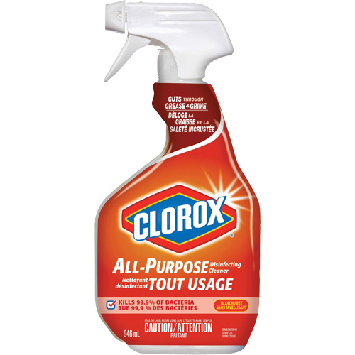 All-Purpose Disinfecting Cleaner Spray, 946 ml, Trigger Bottle NTL Industrial