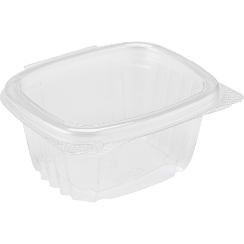 Hinged Lid Deli Container, Plastic NTL Industrial