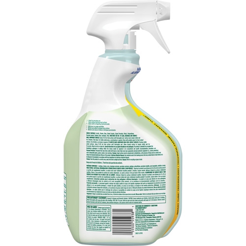 CloroxPro Clorox EcoClean Disinfecting Cleaner, 946 ml, Trigger Bottle NTL Industrial