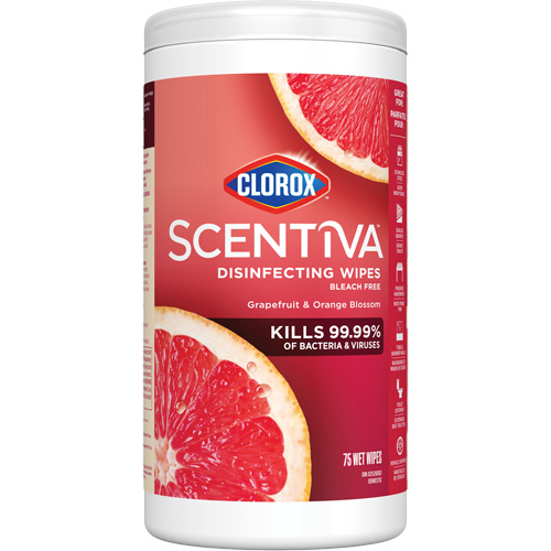 Disinfecting Wipes, 75 Count NTL Industrial