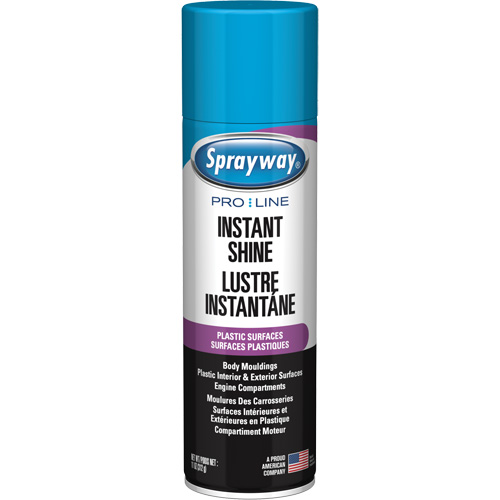 Pro Line Instant Shine for Plastic Surfaces, 11 oz., Aerosol Can NTL Industrial
