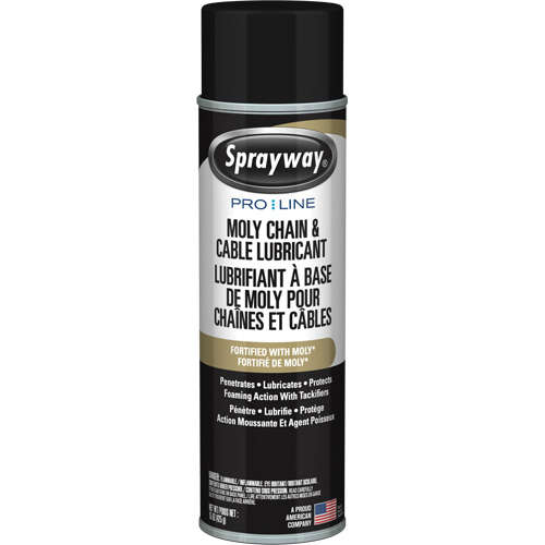 Lubrifiant au molybd&egrave;ne Pro Line pour chaînes et c&acirc;bles, Canette a&eacute;rosol NTL Industrial