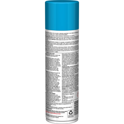 Nettoyant tout usage Pro Line Crazy Clean, 19 oz., Canette a&eacute;rosol NTL Industrial