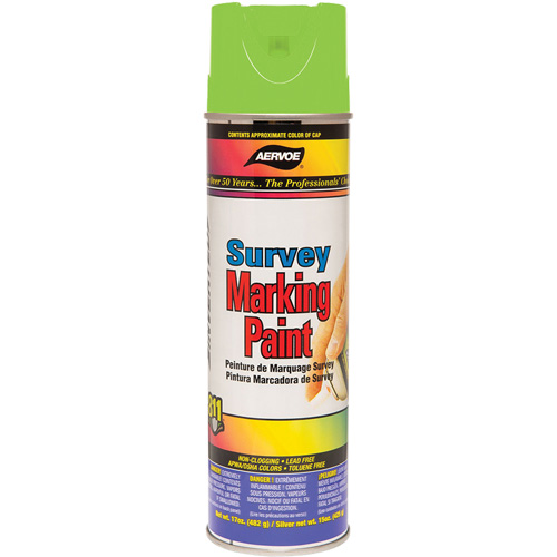 Peinture de marquage polyvalente, 17 oz, Canette a&eacute;rosol NTL Industrial