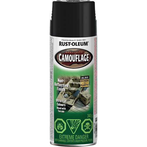 Peinture de camouflage Sp&eacute;cialit&eacute;, Canette a&eacute;rosol, Noir NTL Industrial