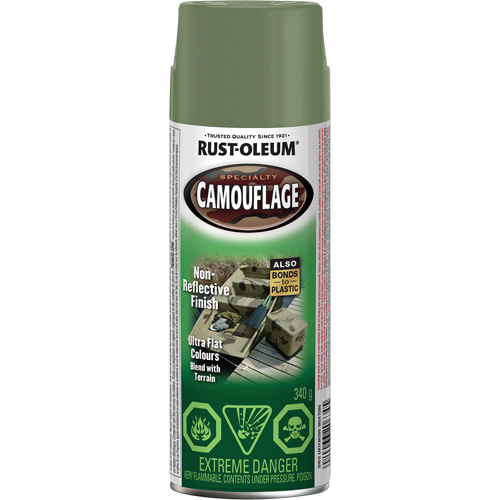 Peinture de camouflage Sp&eacute;cialit&eacute;, Canette a&eacute;rosol, Brun terre NTL Industrial