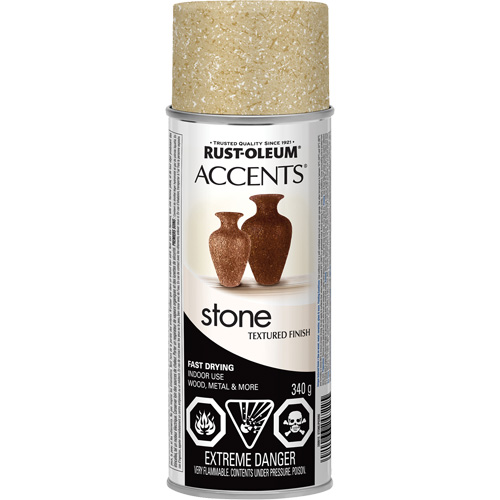 Accents&reg; Stone Creations Spray Paint, Aerosol Can, Bleached Stone NTL Industrial