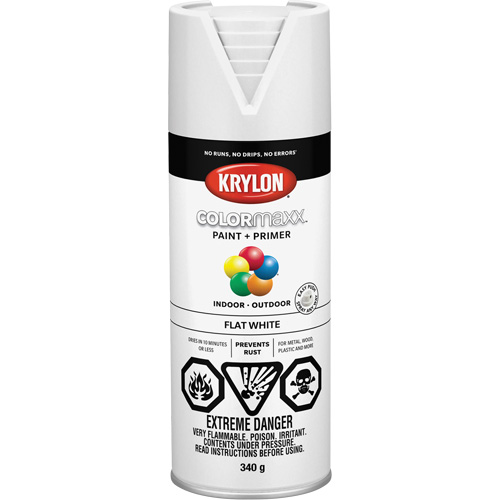 Appr&ecirc;t + peinture COLORmaxx, Blanc, Tr&egrave;s mat, 12 oz, Canette a&eacute;rosol NTL Industrial