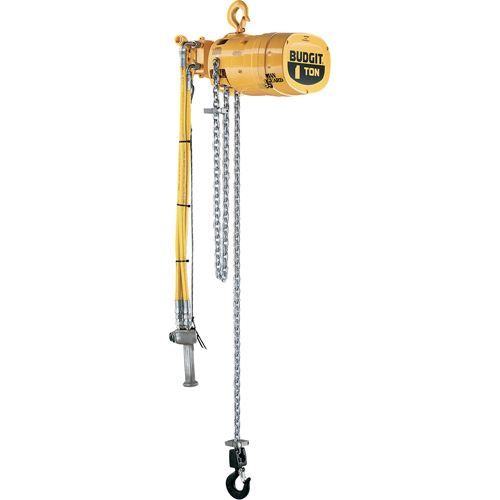 Budgit&reg; Series 6000 Air Hoists NTL Industrial