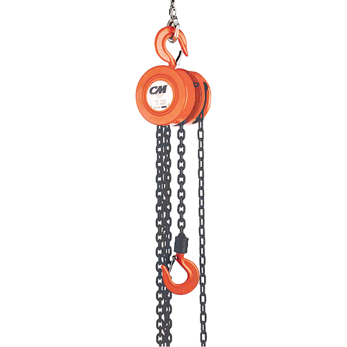 Chain Hoist, 8' Lift, 6000 lbs. (3 tons) Capacity, Steel Chain NTL Industrial