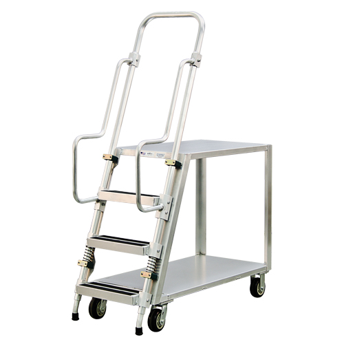 Chariot de pr&eacute;paration en aluminium avec &eacute;chelle, Aluminium, 22" la x 51-1/2" p, 2 tablettes, Capacit&eacute; 800 lb NTL Industrial