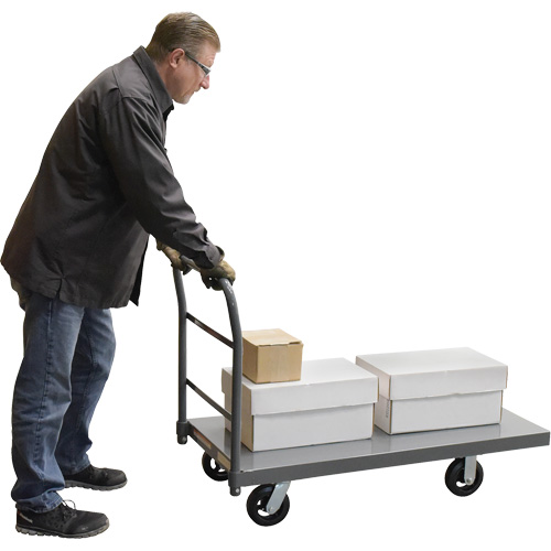 Platform Truck, 48" L x 24" W, 2000 lbs. Capacity, Rubber Casters NTL Industrial