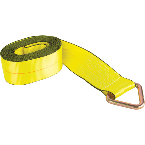 Logistic Strap, Delta Ring, 30' W x 4" L, 5400 lbs. (2449 kg) Working Load Limit NTL Industrial