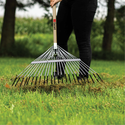 Lawn Rake, 24 Tines, Hardwood Handle, Steel Blade NTL Industrial