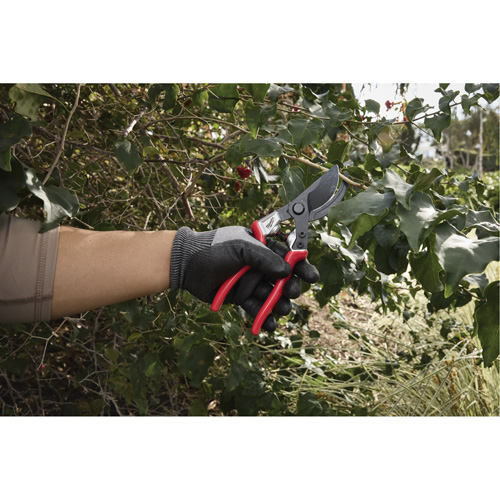 1” Angled Pruning Shears NTL Industrial