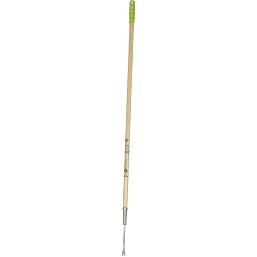 Dandelion Weeder NTL Industrial