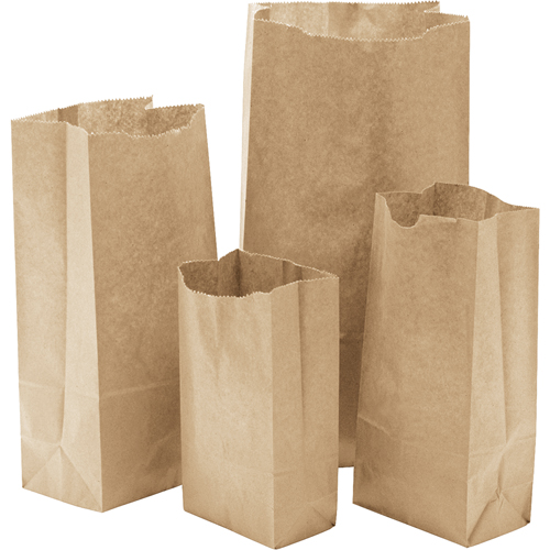 Sacs en papier, Papier, 3" la x 5-7/8" lo NTL Industrial