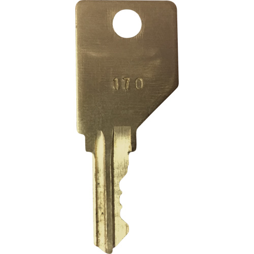 Replacement Key for Frost Smoking Receptacles NTL Industrial