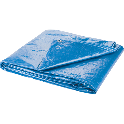 Tarp, Standard Duty, Blue, 7' x 5' x 4 mils NTL Industrial