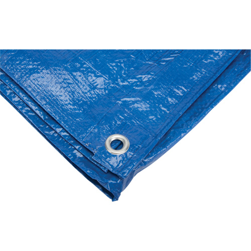 Tarp, Standard Duty, Blue, 7' x 5' x 4 mils NTL Industrial