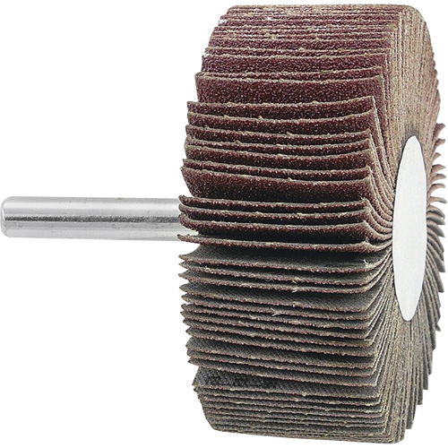 Disque &agrave; lamelles mont&eacute;, Grain 120, 2-1/2" x 1" x 1/4" NTL Industrial