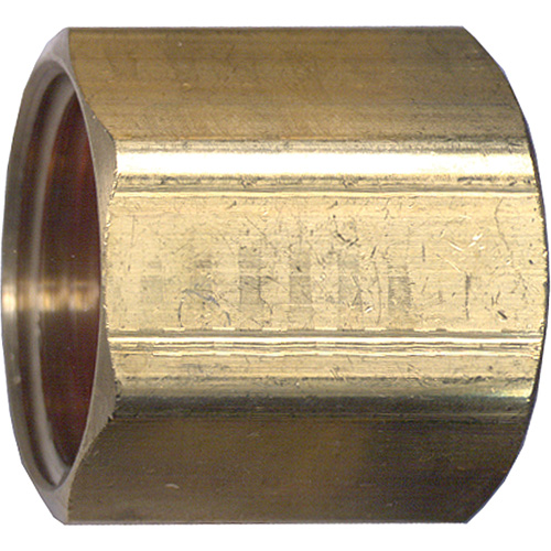 Pipe Coupling, Brass, 3/4' NTL Industrial