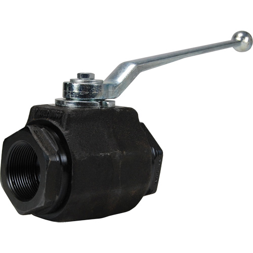 High Pressure Full-Bore Ball Valve, Steel, Manual, FNPT x FNPT NTL Industrial