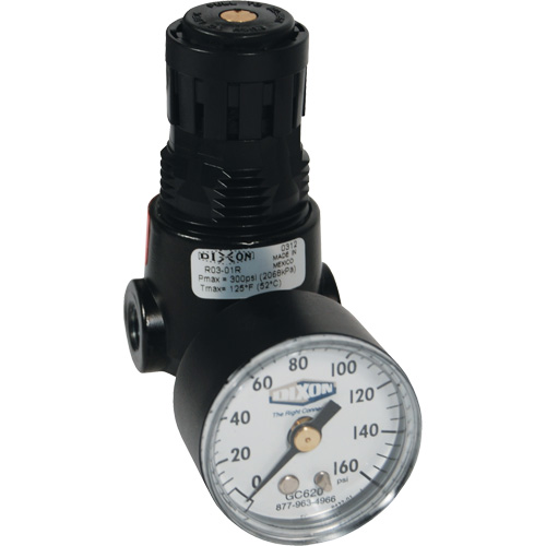 Wilkerson Miniature Regulator R04, 1/4" NPT, 300 psi Max. PSI, Standard NTL Industrial
