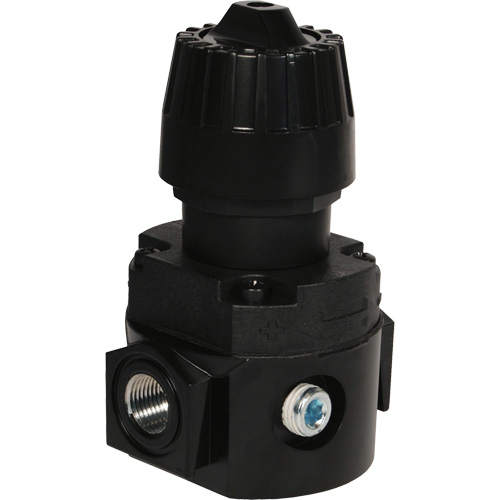 R&eacute;gulateur compact R16 Wilkerson, 1/4" NPT, PSI max. de 300 psi, Standard NTL Industrial
