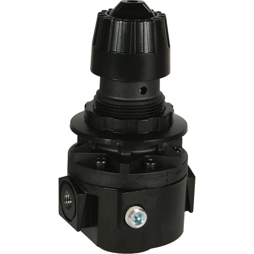 Wilkerson Regulator R26, 1/2" NPT, 300 psi Max. PSI, Standard NTL Industrial