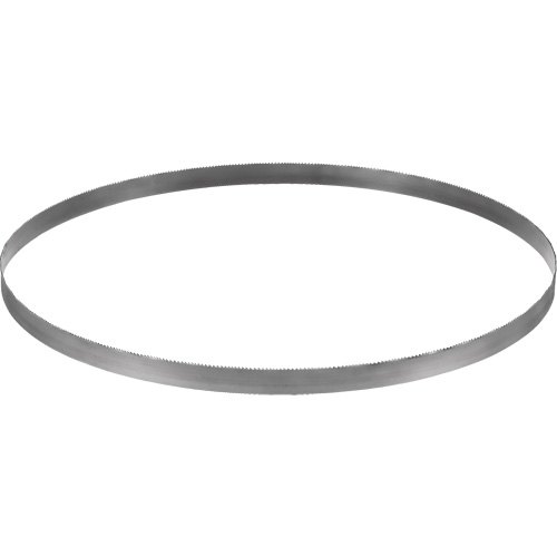 Lame de scie &agrave; ruban sans fil, Bim&eacute;tal, 32-7/8" lo x &eacute;paisseur 0,02", 14-18 dents par pouce NTL Industrial