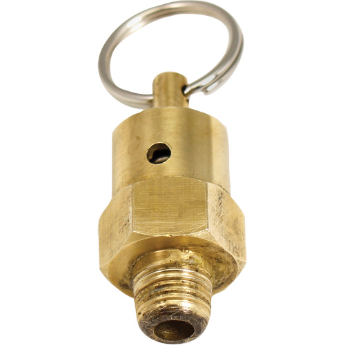 Viton&reg; Pressure Relief Valve NTL Industrial
