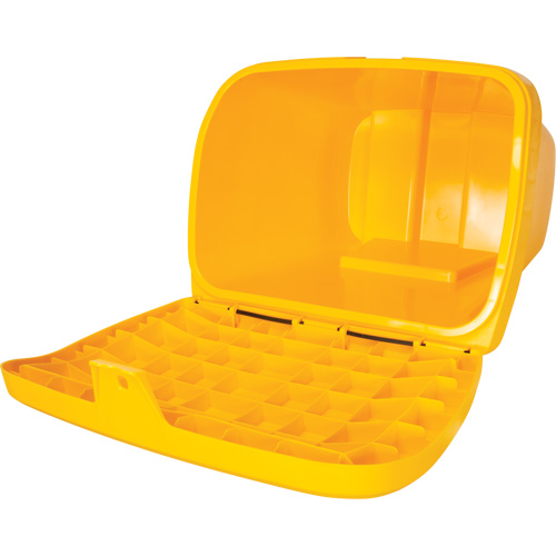 Salt & Sand Storage Bins, With Hasp, 21" x 27" x 26", 4.24 cu. ft., Yellow NTL Industrial