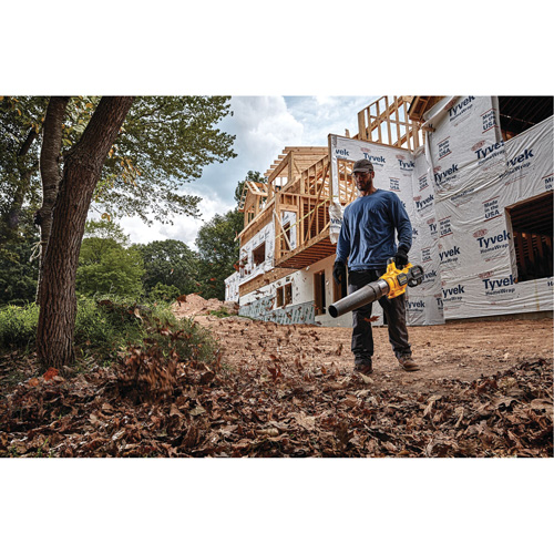 Ventilateur axial &agrave; main sans fil sans balai Max* FlexVolt, 60 V, Vitesse d'air 125 mi/h, &agrave; pile NTL Industrial