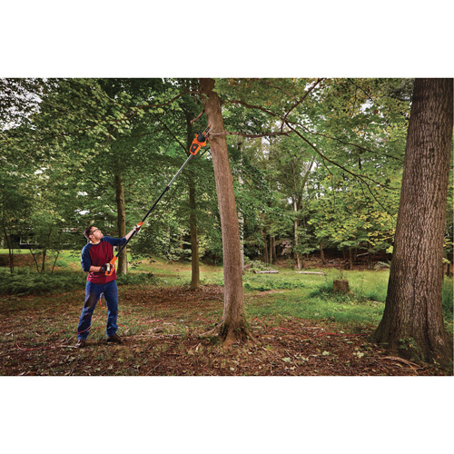 2-in-1 Pole Chainsaw NTL Industrial