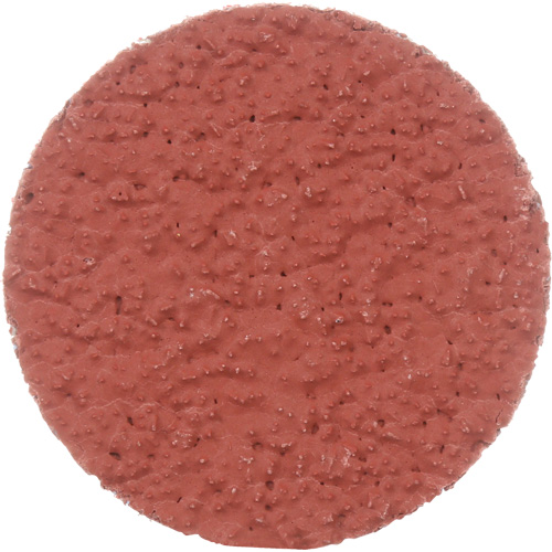 Disque &agrave; d&eacute;ligner durable II Roloc Cubitron, 2" dia., Grain 36+, C&eacute;ramique NTL Industrial