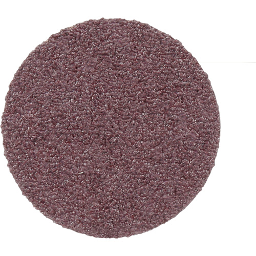 Disque de conditionnement de surface, 1" dia., Grain P100, Oxyde d'aluminium NTL Industrial