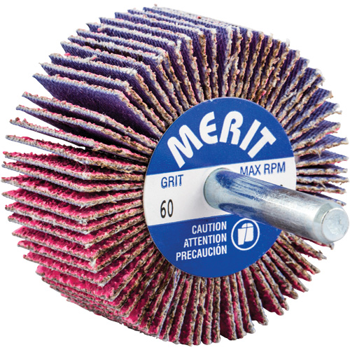 Shank Mounted Mini Flap Wheel, Ceramic Alumina, 60 Grit, 2" x 1" x 1/4" NTL Industrial