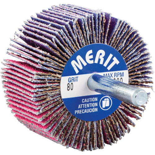 Shank Mounted Mini Flap Wheel, Ceramic Alumina, 80 Grit, 2" x 1" x 1/4" NTL Industrial