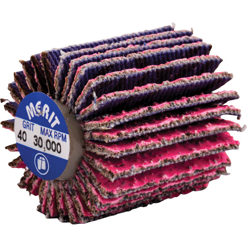 Threaded Mini Flap Wheel, Ceramic Alumina, 40 Grit, 1" x 1" x 1/4"-20 NTL Industrial