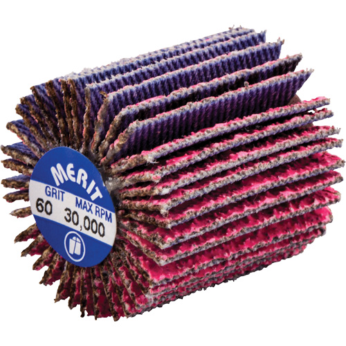 Threaded Mini Flap Wheel, Ceramic Alumina, 60 Grit, 1" x 1" x 1/4"-20 NTL Industrial