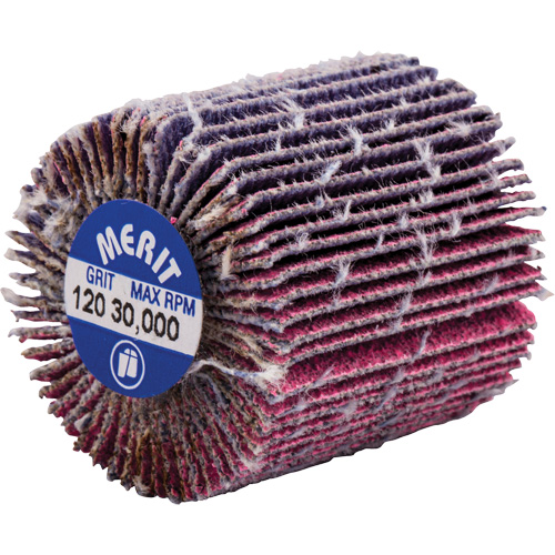 Threaded Mini Flap Wheel, Ceramic Alumina, 120 Grit, 1" x 1" x 1/4"-20 NTL Industrial