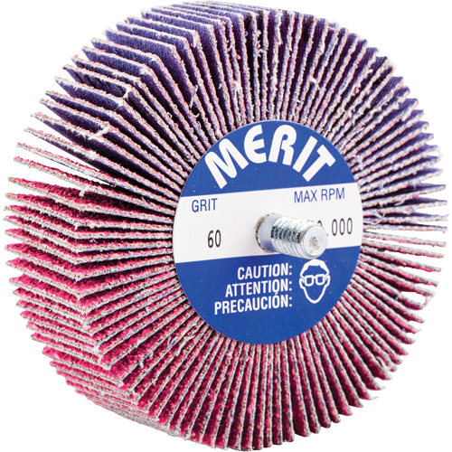 Threaded Mini Flap Wheel, Ceramic Alumina, 60 Grit, 3" x 1" x 1/4"-20 NTL Industrial