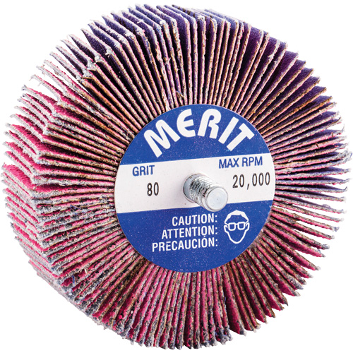 Threaded Mini Flap Wheel, Ceramic Alumina, 80 Grit, 3" x 1" x 1/4"-20 NTL Industrial
